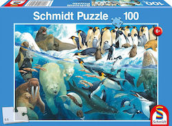 Kids Puzzle Animals of the Poles for 6++ Years 100pcs Schmidt Spiele