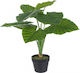 Bizzotto Artificial Plant in Pot 60cm 1pcs