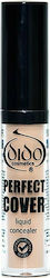 Dido Cosmetics Perfect Cover 101