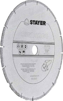 Stayer 40.22 Slicer/Coarse Grater Disc Construction Materials 115mm 1pcs