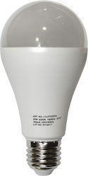 Adeleq LED Lampen für Fassung E27 und Form A65 Naturweiß 2000lm 1Stück