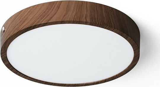 Rendl Light Studio Hue R 22 Decke Außen LED-Panel 24W Rendl Light Studio Hue R 22 Decke Außen LED-Panel 24W
