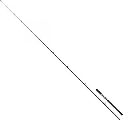 Shimano Grappler Καλάμι Ψαρέματος για Slow Jigging 2.03m 200gr