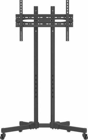 Focus Mount Fixed T176 240033 Βάση Τηλεόρασης Δαπέδου έως 65" και 40kg