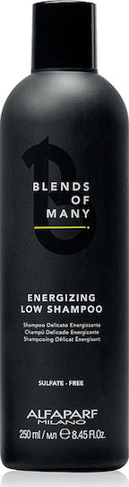 Alfaparf Milano Professional Blends of Many Σαμπουάν κατά της Τριχόπτωσης για Όλους τους Τύπους Μαλλιών 250ml
