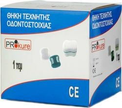 Prokure Denture Case