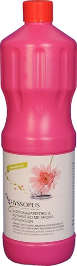 Hyssopus Thick Bleach with Scent Flowers 1.25lt