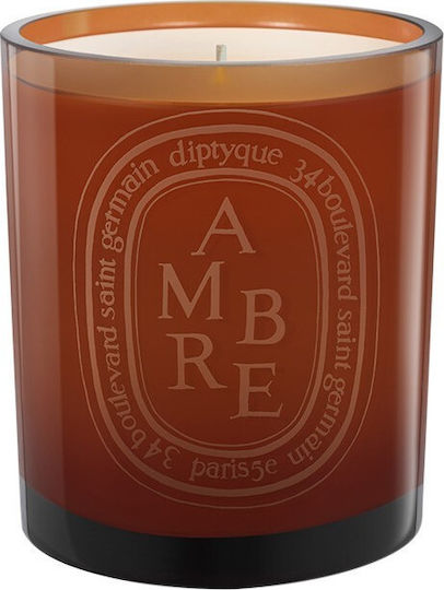 Diptyque Aromatic Candle in Jar with Ambre Perfume 300g
