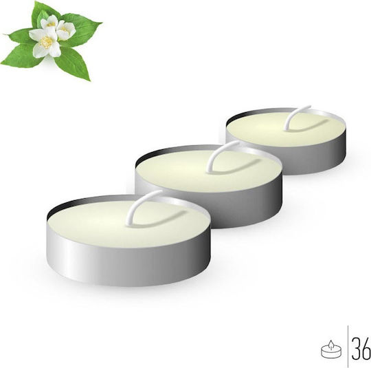 Scented Tealights Jasmine White (up to 4hrs Duration) 36pcs