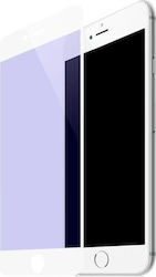 WK 3D Tempered Glass WK 3D Tempered Glass