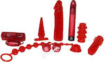 You2Toys Red Roses Set Set 17.5cm 05609360000 Roșu