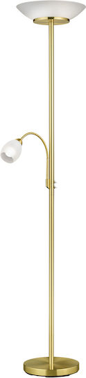Trio Lighting R400631 Trio Lighting R400631