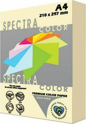 Spectra Color Hârtie de Imprimare A4 80gr/m² 1x500 foi Ivory