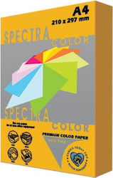 Spectra Color Printing Paper A4 80gr/m² 500 sheets Saffron