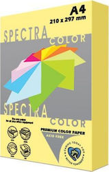 Spectra Color Druckpapier A4 80gr/m² 1x500 Blät...
