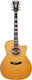 D'Angelico Premier Gramercy Vintage NT Chitară Semi-Acustică