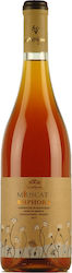 Δουλουφάκης Amphora Λευκό Ξηρό 750ml Δουλουφάκης Amphora Λευκό Ξηρό 750ml