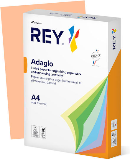 Clariana Color Plus Хартия за печат A4 160гр/кв.м 1x250 листове Оранжев