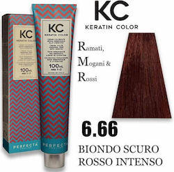 Faipa Perfecta Keratin Color Βαφή Μαλλιών Χωρίς...