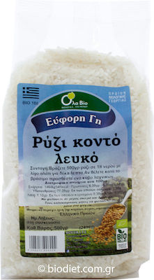 Όλα Bio Βιολογικό Ρύζι Λευκό Κοντό 500gr