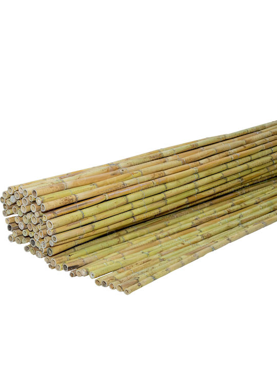 Lianos Bamboo Fencing with Whole Reed 1x3m