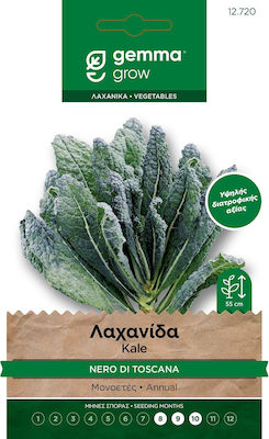 Gemma Seeds Kale 5gr/1500pcs