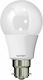 Spot Light LED крушка 10W за фасунга B22 и форма A60 Неутрално бяло 800лм