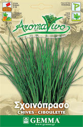 Gemma Seeds Chives 1gr/500pcs