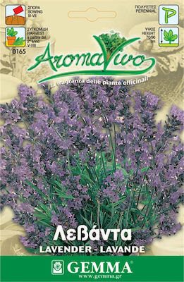 Gemma Seeds Lavenderς 0.5gr/475pcs Purple