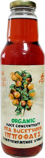 HealthTrade Sanddorn Zuckerfrei 750ml 1Stück