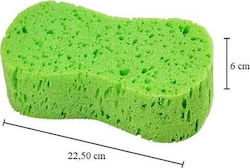 Carman Sponge Washing Car