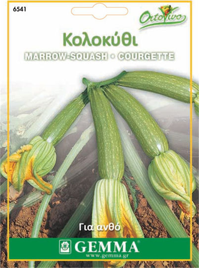 Gemma Seeds Pumpkinς Zucchini 5gr/30pcs