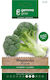 Gemma Seeds Broccoli 5gr/1750pcs