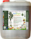 EcoPlant Îmbunătățitor biologic Organic Lichid Îngrășământ 10lt