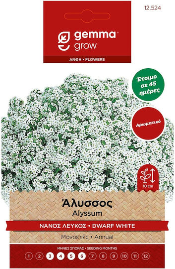 Gemma Semințe Alysso dulce Târziu 0.6gr/1500buc