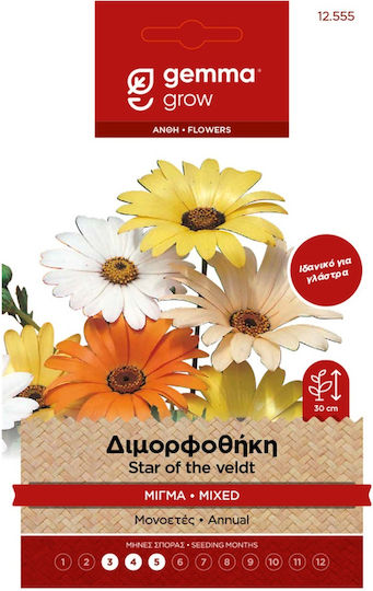Gemma Семена Dimorphotheca Многоцветен 0.3гр/30бр