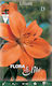 Gemma Lilium Seeds Lilium 2pcs 10249