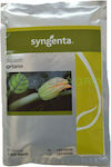 Syngenta Seeds Pumpkinς Zucchini 1000pcs