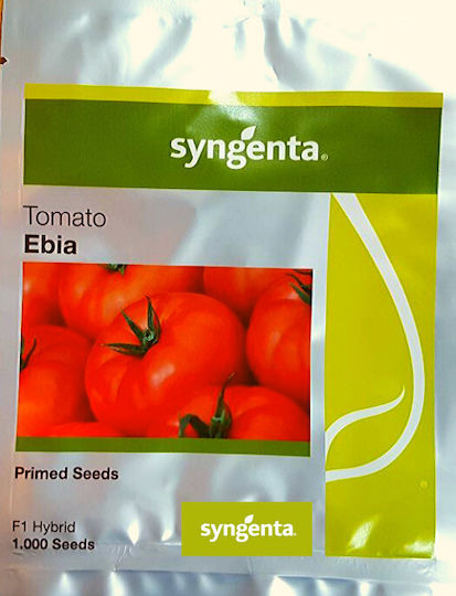 Syngenta Seeds Tomatoς 1000pcs