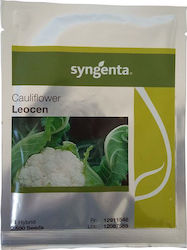 Syngenta Seeds Cauliflower 2500pcs