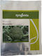 Syngenta Seeds Broccoli 600gr/2500pcs