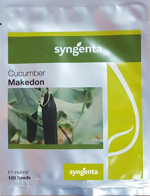 Syngenta Σπόροι Αγγουριού 100τμχ