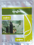 Syngenta Αγγούρι Proteas