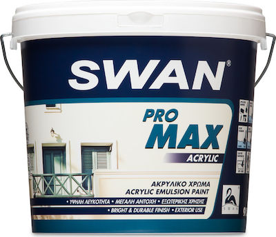 Swan Pro Max Acrylic Plastic Acrilyc Paint for Exterior Use White 3lt