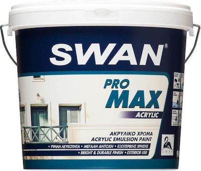 Swan Pro Max Acrylic Plastic Acrilyc Paint for Exterior Use Black 9lt