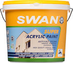 Swan Super Acrylic Plastic Acrilyc Paint for Exterior Use White 10lt