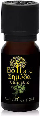 Bio Land Organic Essential Oil Birch 10ml