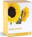 Gift Republic Seeds Sunflower Cultivation Package Yellow