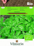 Vilmorin Seeds Basil Organic Cultivation