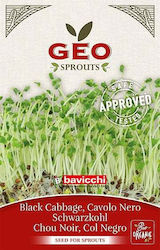 Geo Bavicchi Seeds Kale Organic Cultivation 6gr